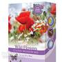 Wildflowers 'Classic Meadow Mix'