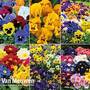 Winter Favourites Bedding Collection