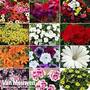 Nurseryman's Choice Bedding Collection