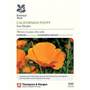 Californian Poppy 'Sun Shades' (National Trust)