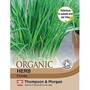 Chives 'Staro' - Organic Seeds