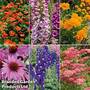 Perennial Collection