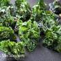 Kalettes®