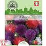 Aster 'Ostrich Plume Mixed' - Kew Collection Seeds