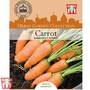 Carrot 'Nandor' F1 Hybrid - Kew Collection Seeds