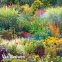 Nurserymans Choice Seasonal Perennial Border