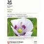 Poppy 'Album' (National Trust)