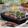 Electric Heated Propagator with Air Valve Vent