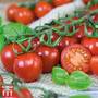 Tomato 'Rubylicious'
