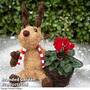 Wicker Festive Coco Reindeer Planter - Gift