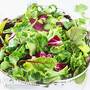 Lettuce 'Bistro Salad Mixed'