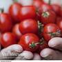 Tomato Romello F1 Hybrid (Seeds)