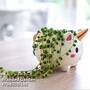 Unicorn Pot with Senecio 'String of Pearls' Plant (House Plant) - Gift