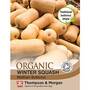 Squash 'Waltham Butternut' (Winter) - Organic Seeds