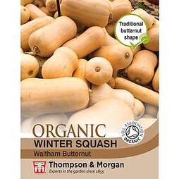 Squash 'Waltham Butternut' (Winter) - Organic Seeds