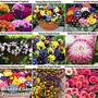 Winter Bedding Ultimate Collection