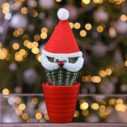 Cactus with Santa Face and Hat - Gift
