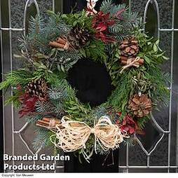 Homemade Christmas Wreath