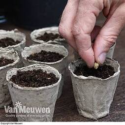 Garden Grow Fibre Grow Pots