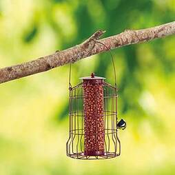 Nature?s Market Nut Feeder with Squirrel Guard