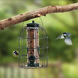 Nature?s Market Seed Feeder with Squirrel Guard