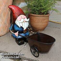Metal Gnome With Wheelbarrow Planter