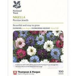 Nigella damascena 'Persian Jewels' (National Trust)