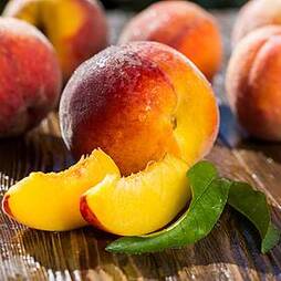 Peach 'Peregrine'