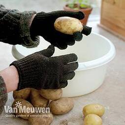 Potato Cleaning Gloves