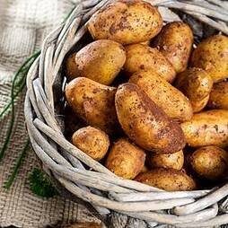 Potato Summer Nicola 1kg