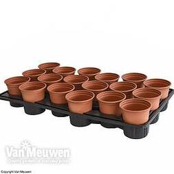 Shuttle Trays and Pots