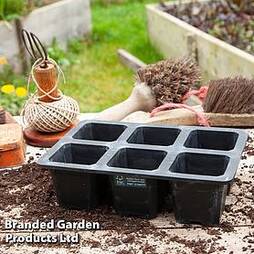 6 Cell XL Natural Rubber Seed Tray