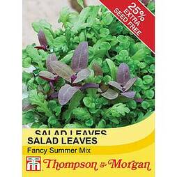 Salad Leaves 'Fancy Summer Mix'
