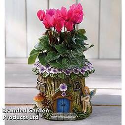 Woodland Fairy Planter with Cyclamen - Gift