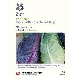 Cabbage 'Colour Dual Mix' (Autumn/Winter)