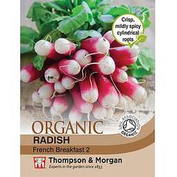 Radish 'French Breakfast 2' - Organic Seeds