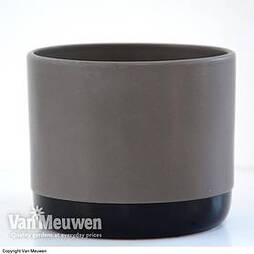 Two-tone ceramic pots - Grey/Black