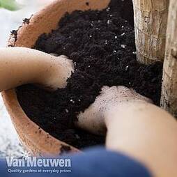 Incredicompost Peat Free Houseplant
