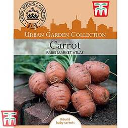 Carrot 'Paris Market Atlas' - Kew Collection Seeds