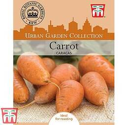 Carrot 'Caracas' - Kew Collection Seeds
