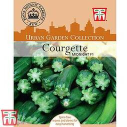 Courgette 'Midnight' F1 Hybrid - Kew Collection Seeds
