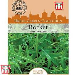 Rocket 'Sweet Oakleaf' - Kew Collection Seeds