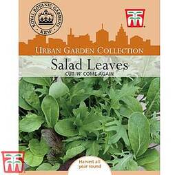 Salad Leaves 'Cut 'n' Come Again'- Kew Collection Seeds