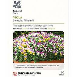 Viola x williamsiana 'Sweeties' (National Trust)
