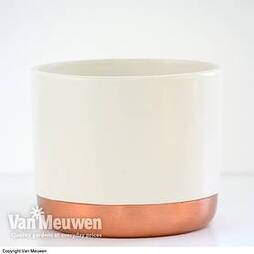 Two-tone ceramic pots - White/Rose Gold